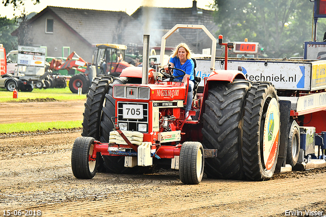 15-06-2018 Renswoude 169-BorderMaker 15-06-2018 Renswoude