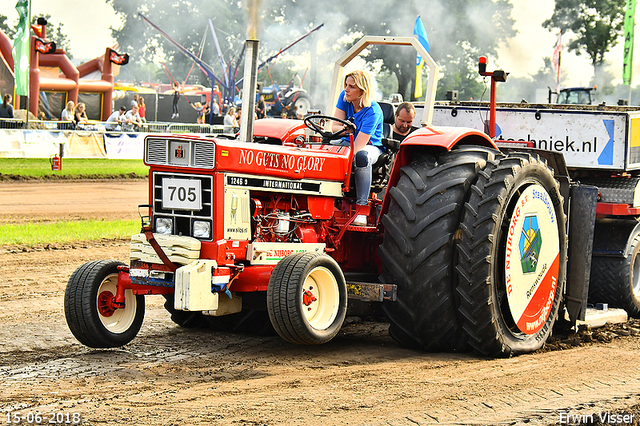 15-06-2018 Renswoude 172-BorderMaker 15-06-2018 Renswoude