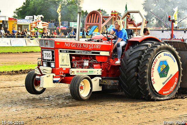 15-06-2018 Renswoude 173-BorderMaker 15-06-2018 Renswoude