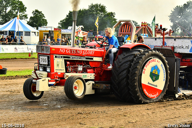 15-06-2018 Renswoude 174-BorderMaker 15-06-2018 Renswoude