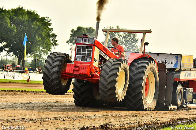 15-06-2018 Renswoude 198-BorderMaker 15-06-2018 Renswoude