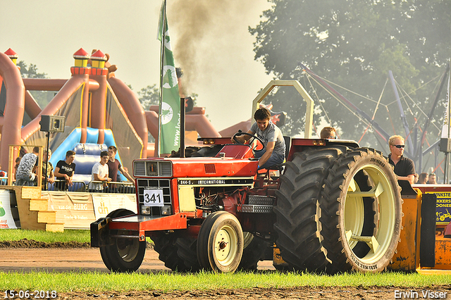 15-06-2018 Renswoude 287-BorderMaker 15-06-2018 Renswoude