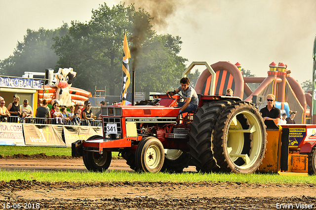 15-06-2018 Renswoude 289-BorderMaker 15-06-2018 Renswoude