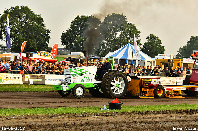 15-06-2018 Renswoude 461-BorderMaker 15-06-2018 Renswoude