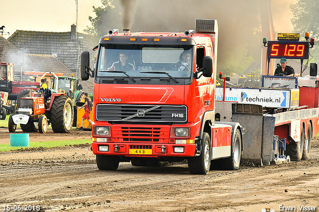 15-06-2018 Renswoude 481-BorderMaker 15-06-2018 Renswoude