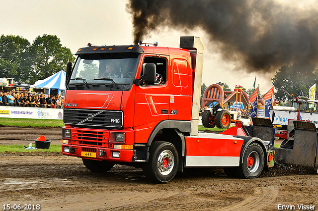 15-06-2018 Renswoude 484-BorderMaker 15-06-2018 Renswoude