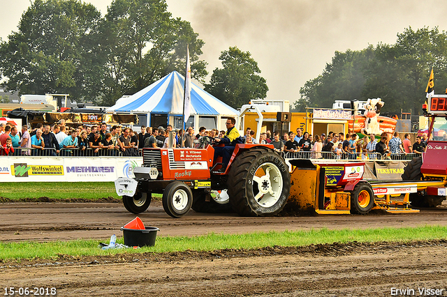 15-06-2018 Renswoude 491-BorderMaker 15-06-2018 Renswoude