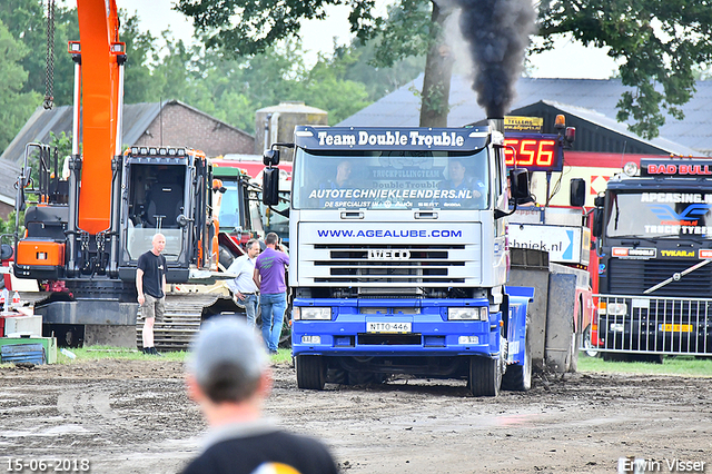 15-06-2018 Renswoude 604-BorderMaker 15-06-2018 Renswoude vtn 9 ton sport