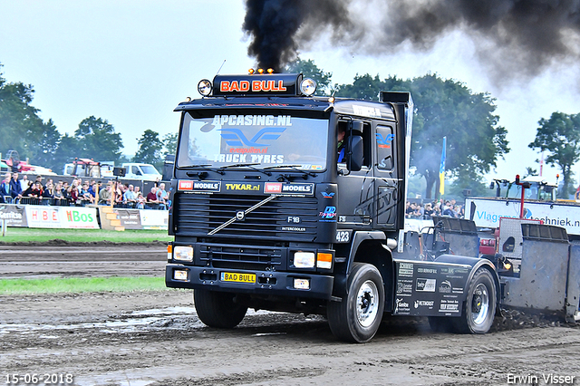 15-06-2018 Renswoude 733-BorderMaker 15-06-2018 Renswoude vtn 9 ton sport