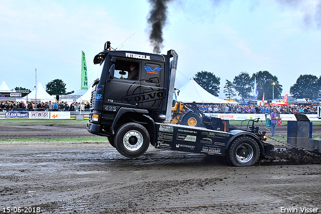 15-06-2018 Renswoude 736-BorderMaker 15-06-2018 Renswoude vtn 9 ton sport