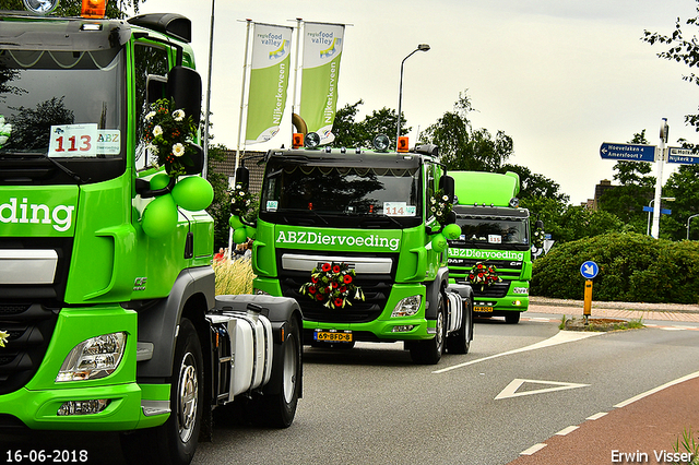 16-06-2018 truckfestijn nijkerk 281-BorderMaker mid 2018