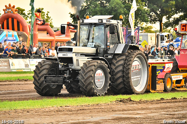 16-06-2018 Renswoude 1295-BorderMaker 16-06-2018 Renswoude