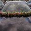 Hochzeit Ben und Melanie Lo... - Hochzeit Melanie & Ben Loos, eine kleine Auswahl... powered by www.truck-pics.eu