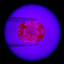 4811-C - 12-06-2018
