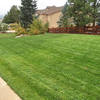 lawn care colorado springs - J. Rick Lawn & Tree, Inc