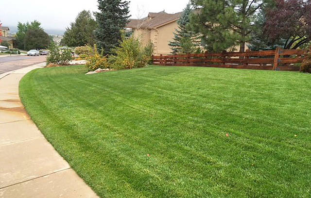 lawn care colorado springs J. Rick Lawn & Tree, Inc.