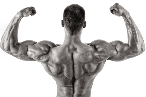 bodybuilding-benefits-1024x681 https://healthsupplementzone.com/boost-sx-pro/