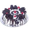 adampur - Cake Shop In Adampur- Bigwi...