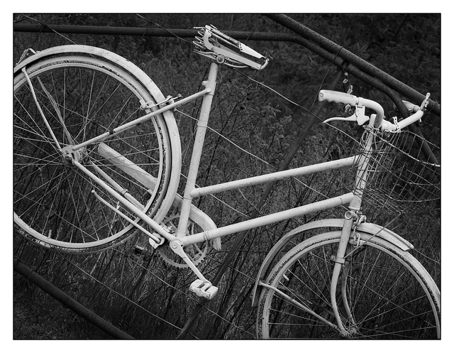 Bike Fence 2018 1 Black & White and Sepia