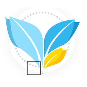 Your Business Your Life LifeCoachSunshineCoast