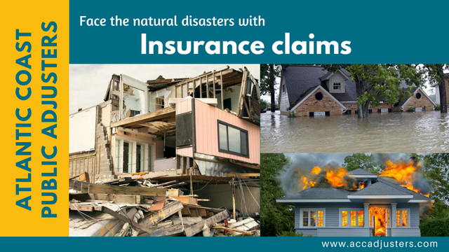Everything you need to know about an insurance cla Everything you need to know about an insurance claim adjuster