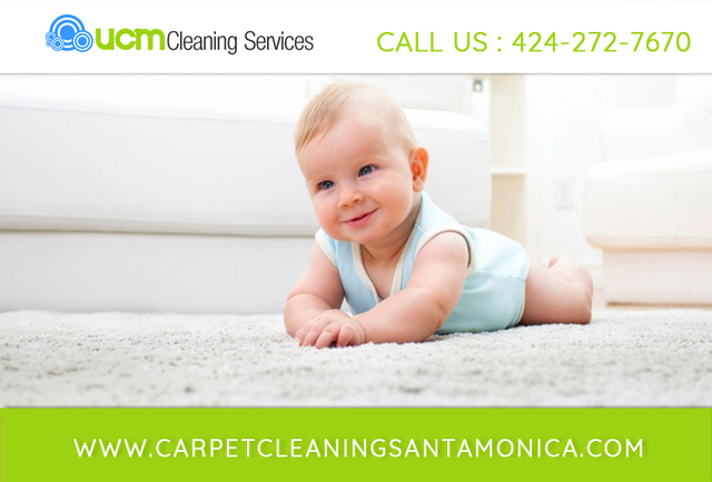 Carpet Cleaning Santa Monica Carpet Cleaning Santa Monica | Call Now:  424-272-7670