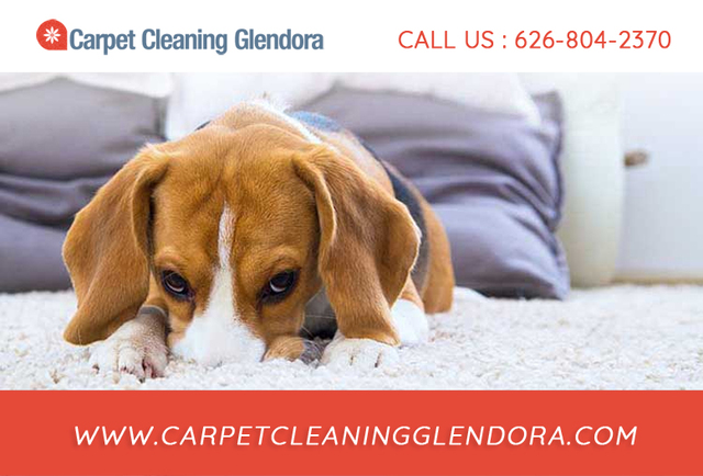 Carpet Cleaning Glendora Carpet Cleaning Glendora | Call Now: 626-804-2370