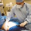 best plastic surgeon in hou... - Picture Box