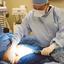 best plastic surgeon in hou... - Picture Box