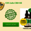 CDX Labs CBD OIl - Picture Box