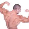 Unanswered Questions Into body muscle power Revealed