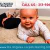 Los Angeles Carpet Cleaning - Los Angeles Carpet Cleaning...