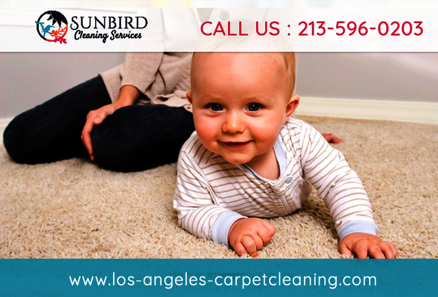 Los Angeles Carpet Cleaning Los Angeles Carpet Cleaning | Call Now:  213-596-0203