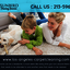 Los Angeles Carpet Cleaning - Los Angeles Carpet Cleaning | Call Now:  213-596-0203