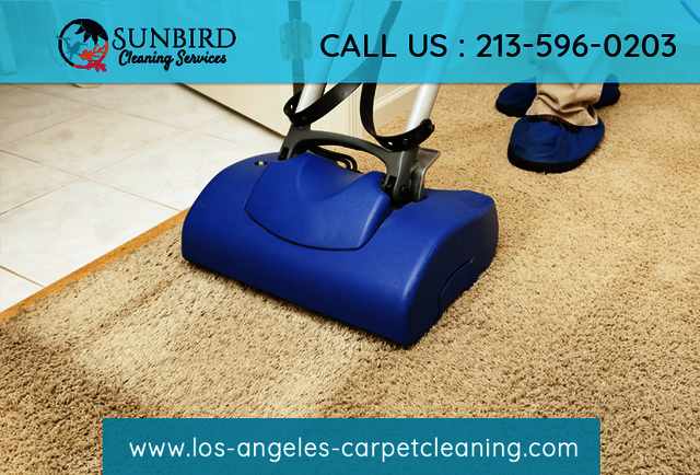 Los Angeles Carpet Cleaning Los Angeles Carpet Cleaning | Call Now:  213-596-0203