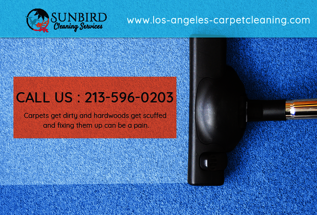 Los Angeles Carpet Cleaning Los Angeles Carpet Cleaning | Call Now:  213-596-0203