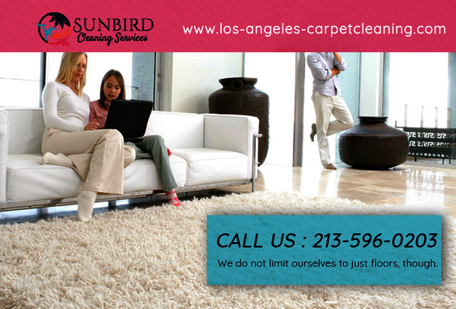 Los Angeles Carpet Cleaning Los Angeles Carpet Cleaning | Call Now:  213-596-0203