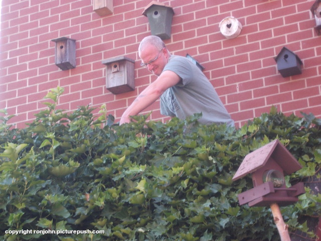 John kon het dak op 03-07-18 3 In de tuin 2018