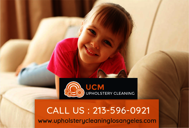 Upholstery Cleaning Los Angeles Upholstery Cleaning Los Angeles  |  Call Now: 213-596-0921