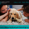 Lakewood Carpet Cleaning - Lakewood Carpet Cleaning  |...