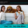 Lakewood Carpet Cleaning - Lakewood Carpet Cleaning  |...