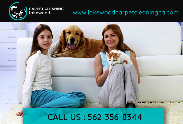 Lakewood Carpet Cleaning Lakewood Carpet Cleaning  |  Call Now: 562-356-8344