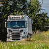 Pfeifer Holzhandel, Betzdor... - Scania V8, Timber Warrior, ...