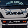 Pfeifer Holzhandel, Betzdor... - Scania V8, Timber Warrior, ...