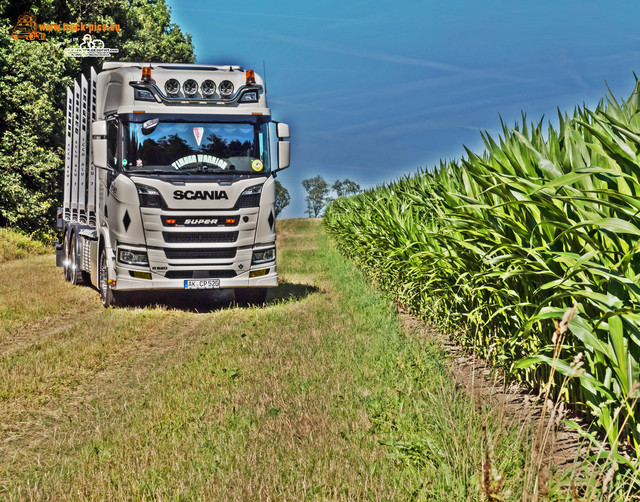 Pfeifer Holzhandel, Betzdorf, Deutschland powered  Scania V8, Timber Warrior, Sebastian Beule, Pfeifer Holzhandel Betzdorf