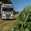 Pfeifer Holzhandel, Betzdor... - Scania V8, Timber Warrior, Sebastian Beule, Pfeifer Holzhandel Betzdorf