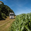 Pfeifer Holzhandel, Betzdor... - Scania V8, Timber Warrior, Sebastian Beule, Pfeifer Holzhandel Betzdorf