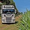 Pfeifer Holzhandel, Betzdor... - Scania V8, Timber Warrior, ...