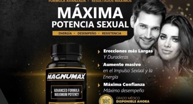 MagnuMax 1 Picture Box
