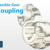 Flexible Gear Coupling - ramkrishnaeng